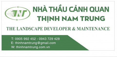 Trồng hoa Sao Nhái