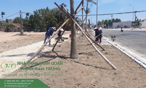 Dich vu cham soc cay canh