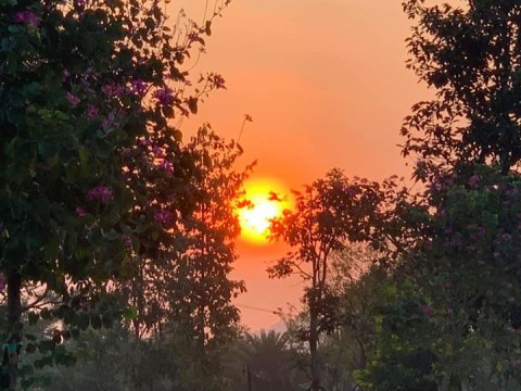 Chào ngày mới cùng Thinh Nam Trung trên tất cả các tuyến đường thuộc thành phố Quảng Ngãi.  Rửa đường, vệ sinh môi trường tạo không khí trong lành chung tay cùng cộng đồng góp phần đẩy lùi dịch bệnh. Lộc non vươn mầm, trăm hoa đua nở trên cành, chim