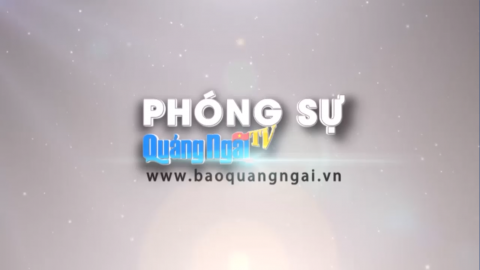 Video: Thâu đêm "rửa đường" mùa dịch Covid- 19