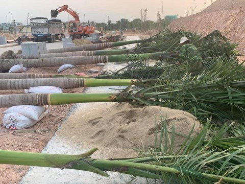 Quyết tâm của team Thịnh Nam Trung trong dịch Covid-19