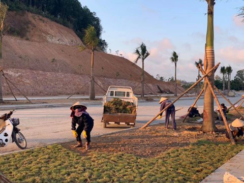 Ngày 3/4/2020, tăng ca trồng cỏ Nhung phát triển cảnh quang đường 6F dẫn vào khu biệt thự cao cấp Vườn Trùng.