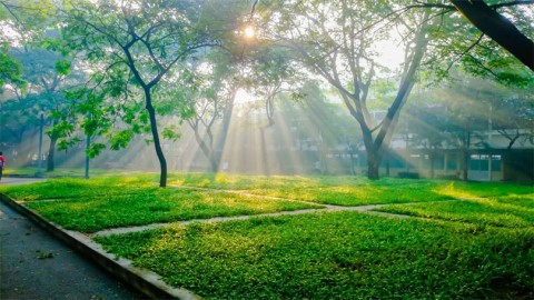 (30/05) HÔM NAY ẨM ƯƠNG, SÁNG NẮNG CHIỀU MƯA NHƯ THIẾU NỮ 20