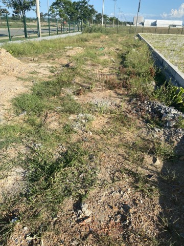 KHẢO SÁT DỰ ÁN: CẢI TẠO PHÁT QUANG, TRỒNG CỎ NHUNG KHUÔN VIÊN NHÀ MÁY BEKAERT