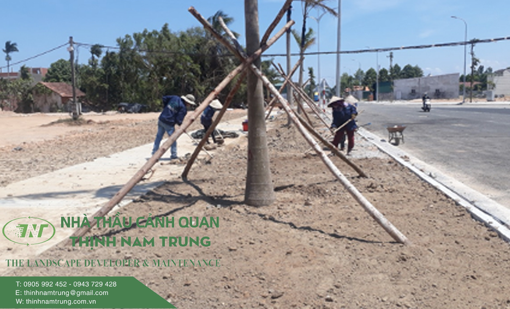 Dich vu cham soc cay canh