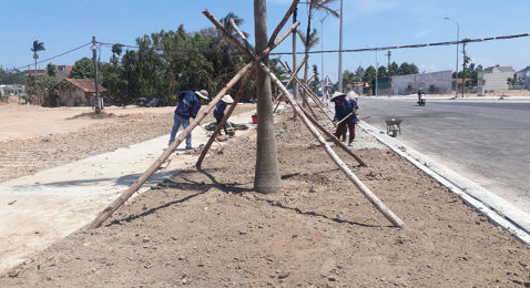 Quá trình làm đất