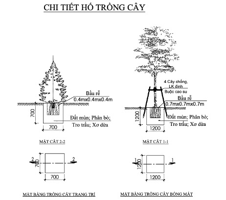 Tiêu chuẩn hố trồng cây