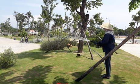 Chăm sóc cảnh quan công viên