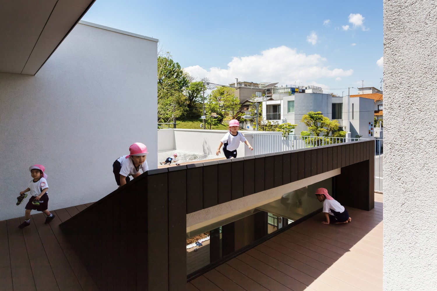 luoi leo treo quanh than cay 3