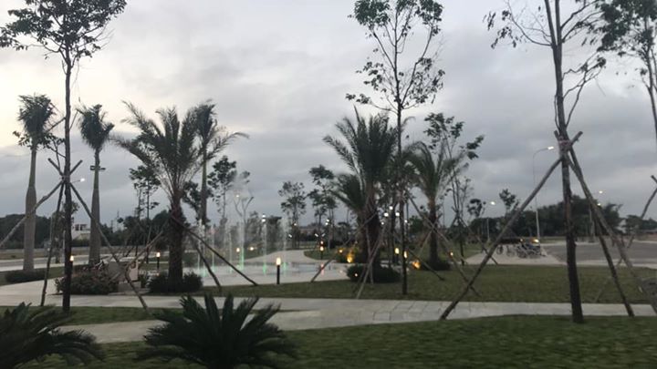 Thi công công viên cây xanh và VSCN tại dự án 577