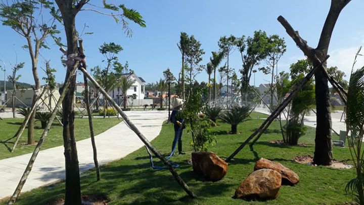 Tiếp tục thực hiện xanh hoá đô thị, giữ vững mật độ cây xanh công viên theo đúng quy hoạch từ cam kết mạnh mẽ của Chủ Đầu Tư - Công ty Cổ Phần Đầu Tư 577 và tinh thần làm việc trách nhiệm của Thịnh Nam Trung tại 02 gói thầu: Thi công công viên cây xanh và VSCN tại Dự án