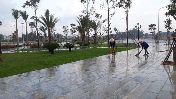 TNT Sáng 20/2/2020 Tại Pearl City - 577 Quảng Ngãi