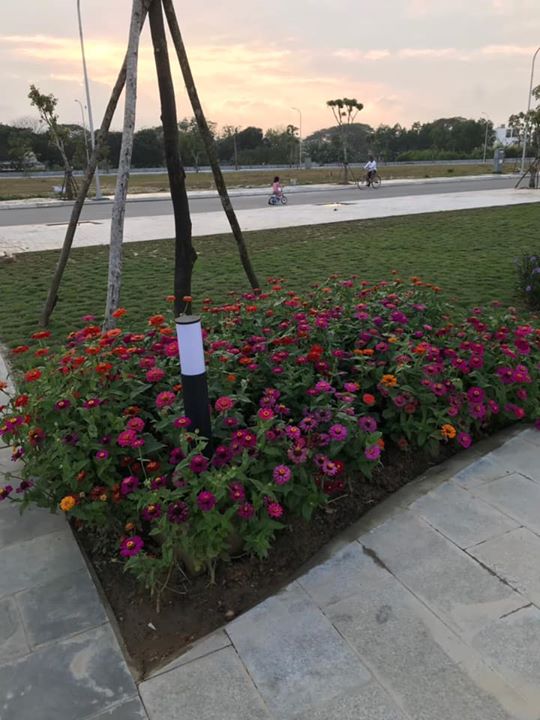 TNT Sáng 20/2/2020 Tại Pearl City - 577 Quảng Ngãi