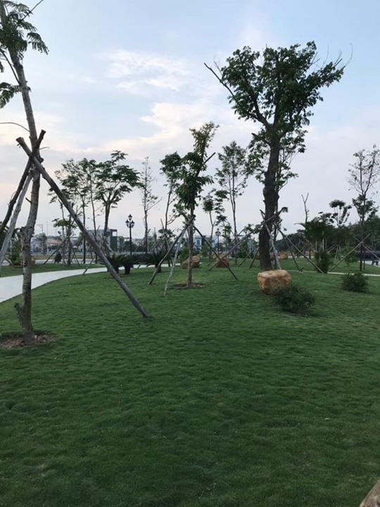 TNT Sáng 20/2/2020 Tại Pearl City - 577 Quảng Ngãi