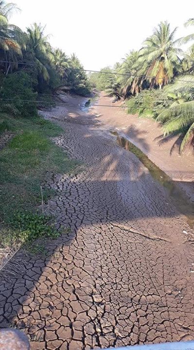 Thương cho người nông dân!