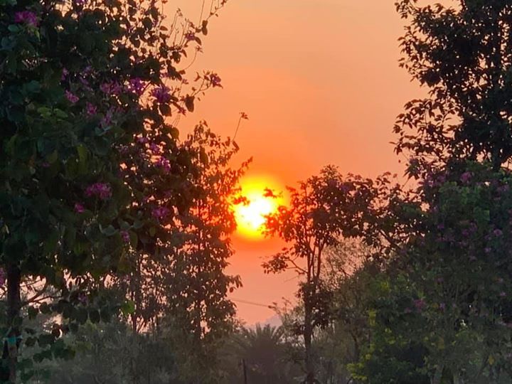 Chào ngày mới cùng Thinh Nam Trung trên tất cả các tuyến đường thuộc thành phố Quảng Ngãi. Rửa đường, vệ sinh môi trường tạo không khí trong lành chung tay cùng cộng đồng góp phần đẩy lùi dịch bệnh. Lộc non vươn mầm, trăm hoa đua nở trên cành, chim hót ca khúc rộn ràng chào ngày mới.