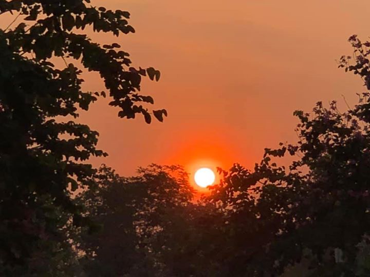 Chào ngày mới cùng Thinh Nam Trung trên tất cả các tuyến đường thuộc thành phố Quảng Ngãi. Rửa đường, vệ sinh môi trường tạo không khí trong lành chung tay cùng cộng đồng góp phần đẩy lùi dịch bệnh. Lộc non vươn mầm, trăm hoa đua nở trên cành, chim hót ca khúc rộn ràng chào ngày mới.