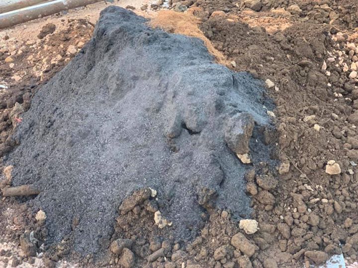 Tiếp nhận chỉ thị của Thủ Tướng Chính Phủ về việc thực hiện các biện pháp cấp bách phòng, chống dịch covid 19 tại công văn số 16/CT-TTg và chỉ đạo của Lãnh đạo Công ty Cổ Phần Đầu Tư 577 Quảng Ngãi. Ngay chiều muộn ngày 31/3/2020, Công ty TNHH Thịnh Nam Trung khẩn trương huy động toàn bộ lực lượng xe máy thiết bị và tập kết cau vua, phân bón, đất mặt, xơ dừa đầy đủ để tăng ca bằng mọi giá hoàn thành tuyến đường 6F khu biệt thự Cao Cấp Vườn Trùng và Công viên X2-04 trong đêm 31/3/2020.