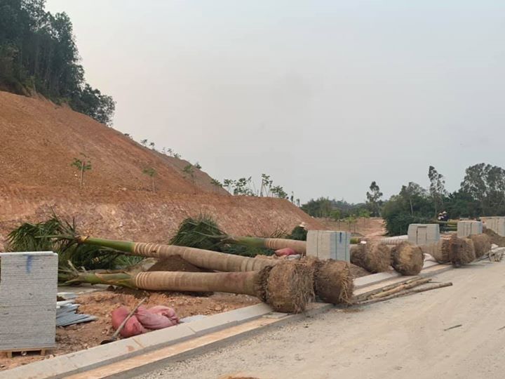 Tiếp nhận chỉ thị của Thủ Tướng Chính Phủ về việc thực hiện các biện pháp cấp bách phòng, chống dịch covid 19 tại công văn số 16/CT-TTg và chỉ đạo của Lãnh đạo Công ty Cổ Phần Đầu Tư 577 Quảng Ngãi. Ngay chiều muộn ngày 31/3/2020, Công ty TNHH Thịnh Nam Trung khẩn trương huy động toàn bộ lực lượng xe máy thiết bị và tập kết cau vua, phân bón, đất mặt, xơ dừa đầy đủ để tăng ca bằng mọi giá hoàn thành tuyến đường 6F khu biệt thự Cao Cấp Vườn Trùng và Công viên X2-04 trong đêm 31/3/2020.