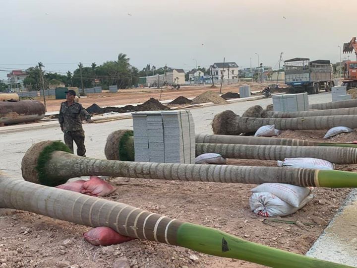 Tiếp nhận chỉ thị của Thủ Tướng Chính Phủ về việc thực hiện các biện pháp cấp bách phòng, chống dịch covid 19 tại công văn số 16/CT-TTg và chỉ đạo của Lãnh đạo Công ty Cổ Phần Đầu Tư 577 Quảng Ngãi. Ngay chiều muộn ngày 31/3/2020, Công ty TNHH Thịnh Nam Trung khẩn trương huy động toàn bộ lực lượng xe máy thiết bị và tập kết cau vua, phân bón, đất mặt, xơ dừa đầy đủ để tăng ca bằng mọi giá hoàn thành tuyến đường 6F khu biệt thự Cao Cấp Vườn Trùng và Công viên X2-04 trong đêm 31/3/2020.