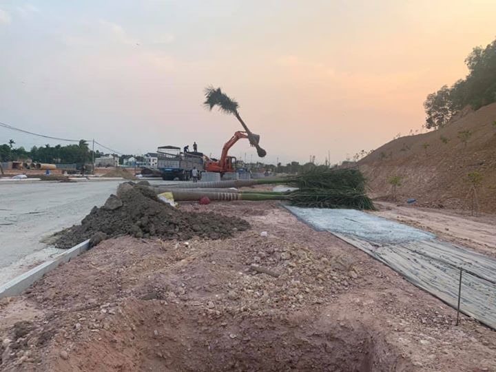 Tiếp nhận chỉ thị của Thủ Tướng Chính Phủ về việc thực hiện các biện pháp cấp bách phòng, chống dịch covid 19 tại công văn số 16/CT-TTg và chỉ đạo của Lãnh đạo Công ty Cổ Phần Đầu Tư 577 Quảng Ngãi. Ngay chiều muộn ngày 31/3/2020, Công ty TNHH Thịnh Nam Trung khẩn trương huy động toàn bộ lực lượng xe máy thiết bị và tập kết cau vua, phân bón, đất mặt, xơ dừa đầy đủ để tăng ca bằng mọi giá hoàn thành tuyến đường 6F khu biệt thự Cao Cấp Vườn Trùng và Công viên X2-04 trong đêm 31/3/2020.