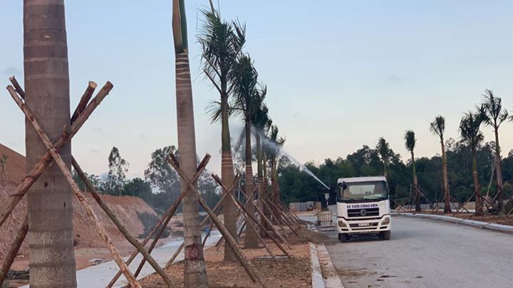 Ngày 3/4/2020, tăng ca trồng cỏ Nhung phát triển cảnh quang đường 6F dẫn vào khu biệt thự cao cấp Vườn Trùng.