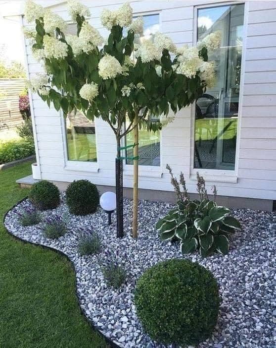 Ý tưởng tiểu cảnh vườn nhà