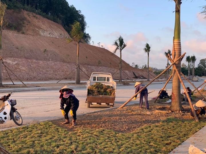 Ngày 3/4/2020, tăng ca trồng cỏ Nhung phát triển cảnh quang đường 6F dẫn vào khu biệt thự cao cấp Vườn Trùng.