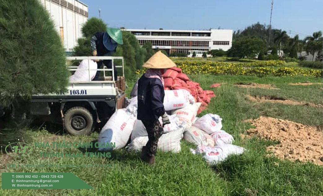 cham soc cay cong trinh (1)