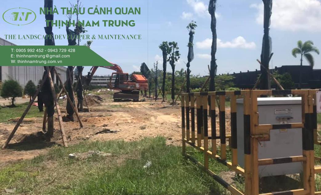 cham soc cay cong trinh (5)