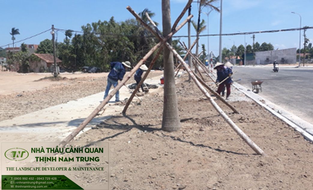 dich vu cham soc canh quan (1)