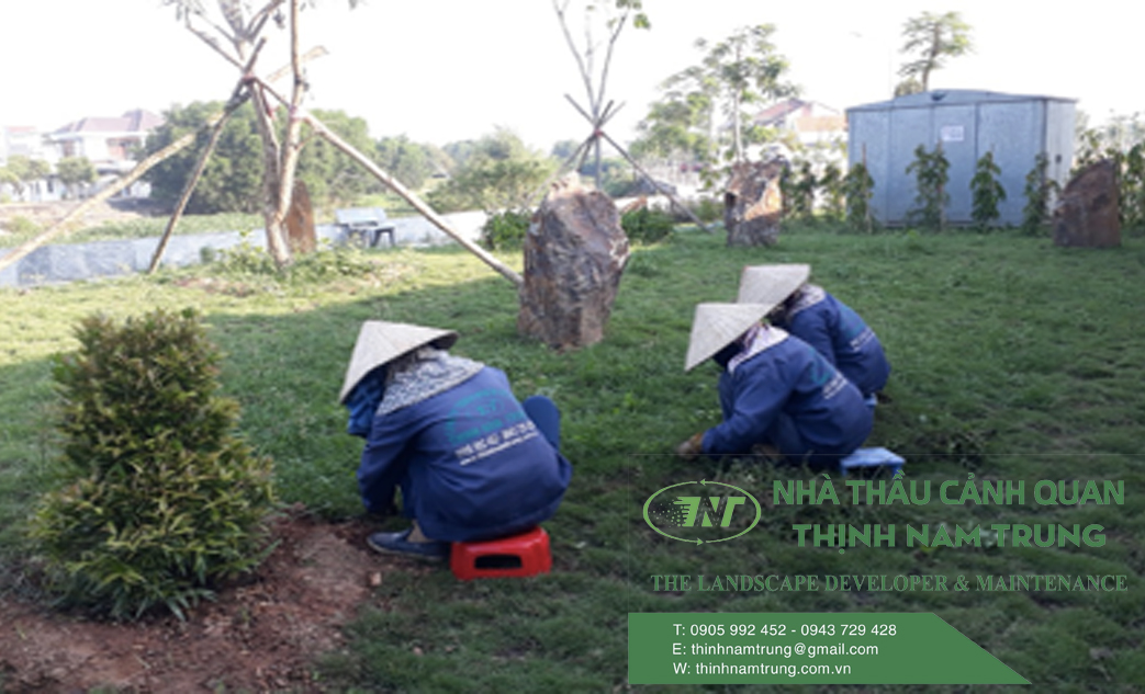 dich vu cham soc canh quan (2)