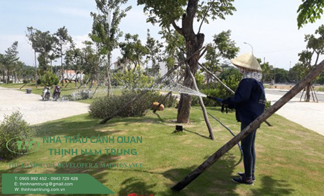 dich vu cham soc canh quan (3)