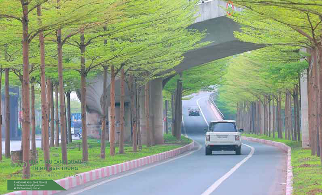 cay canh qudep thinh nam trungan (3)