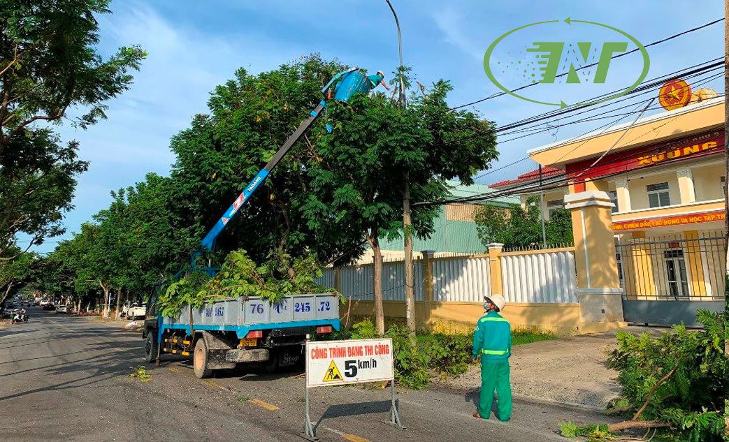 cat tia cay xanh thinh nam trung (1)