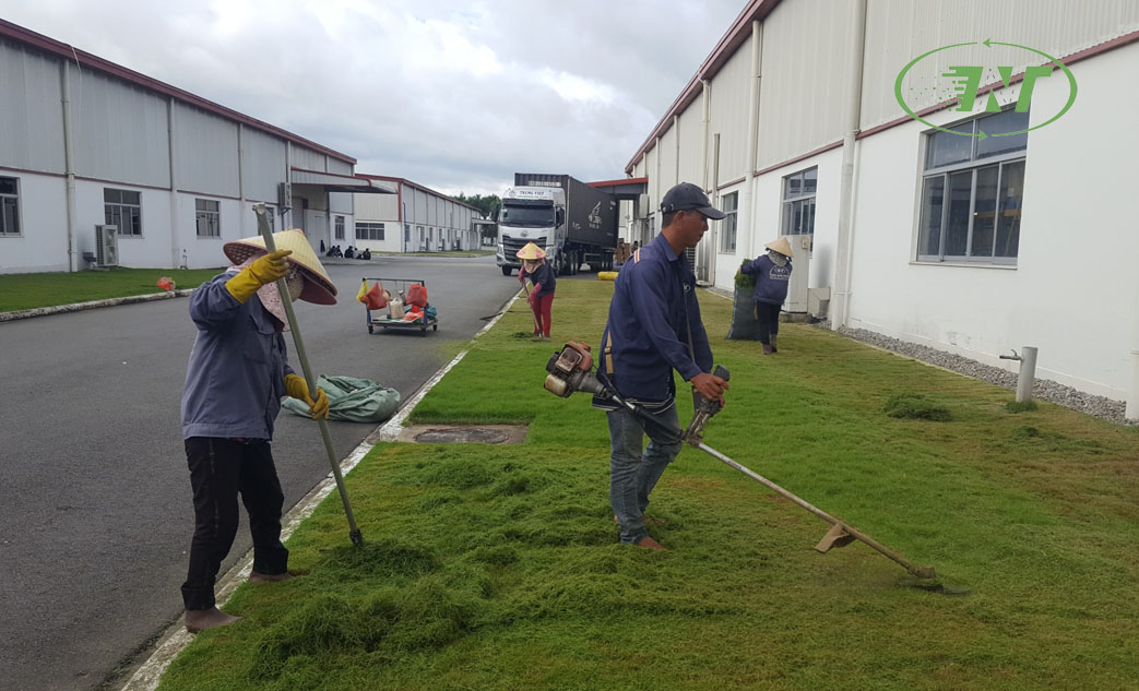 canh quan do thi thinh nam trung (8)