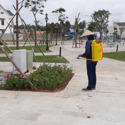 Trồng và chăm sóc cây xanh khu Dân Cư Sơn Tịnh (dự án 577)