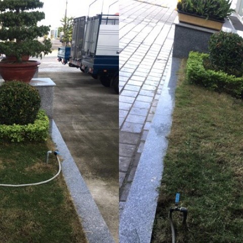 DỰ ÁN: CHĂM SÓC BẢO DƯỠNG CÂY XANH CÔNG TRÌNH GE PSV