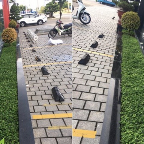 DỰ ÁN: CHĂM SÓC BẢO DƯỠNG CÂY XANH CÔNG TRÌNH GE PSV