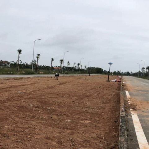 DỰ ÁN: PHÁT QUANG, TRỒNG CỎ LÔNG HEO TẠI KHUÔN VIÊN NHÀ MÁY BEKAERT