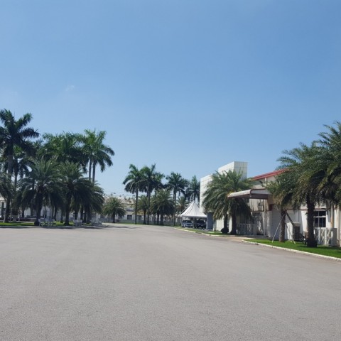 DỰ ÁN: PHÁT QUANG, TRỒNG CỎ LÔNG HEO TẠI KHUÔN VIÊN NHÀ MÁY BEKAERT