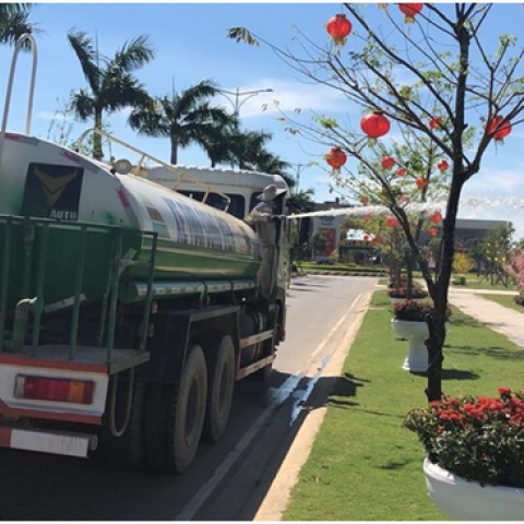 Thi công và chăm sóc cảnh quan tại Dự án VSIP Quảng Ngãi