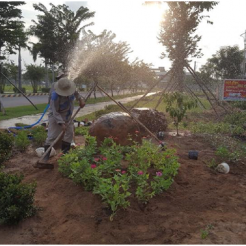 Thi công và chăm sóc cảnh quan tại Dự án VSIP Quảng Ngãi